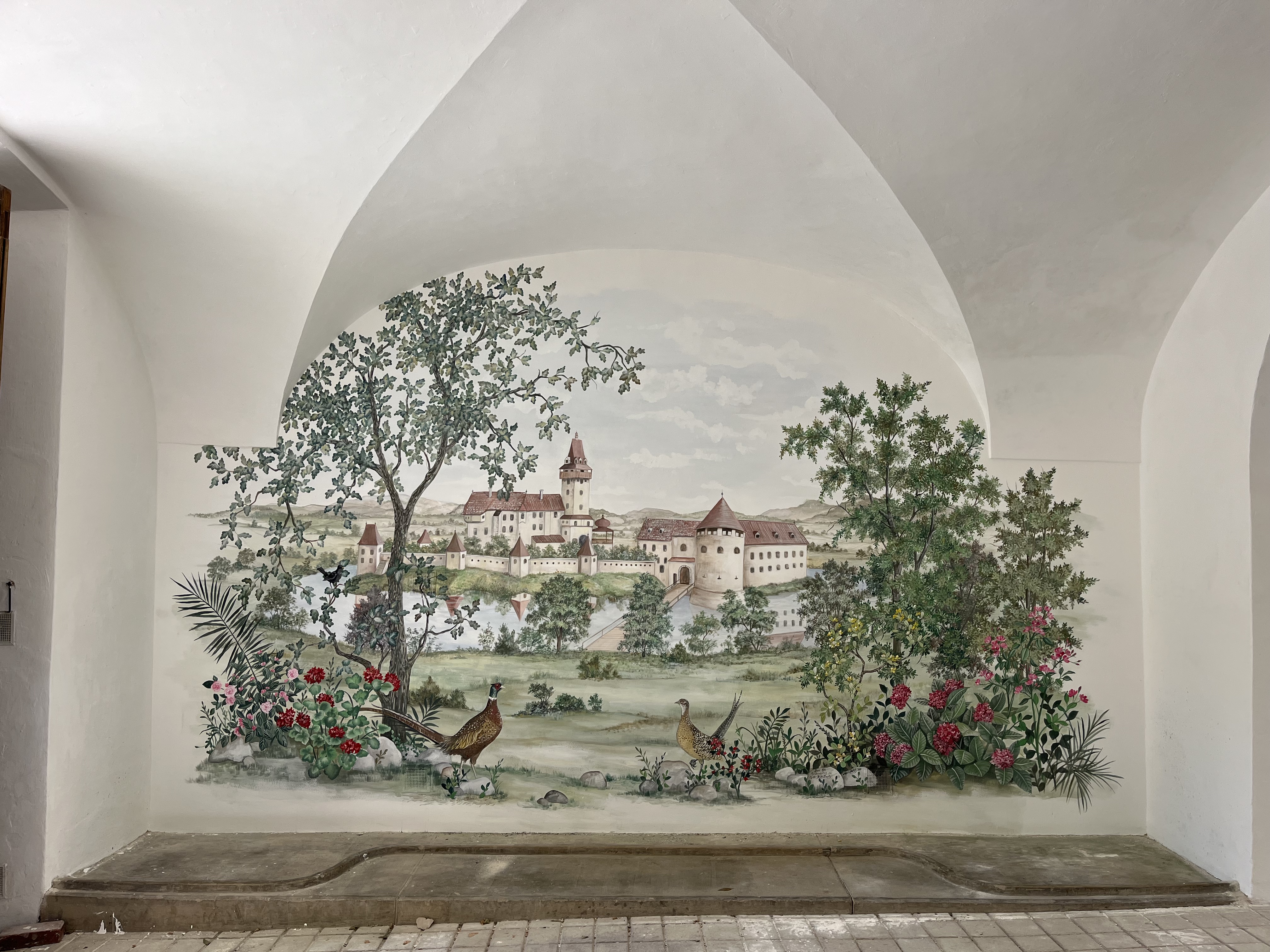 Oaks and Elms